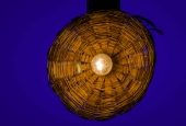 IIP Online Student Photography